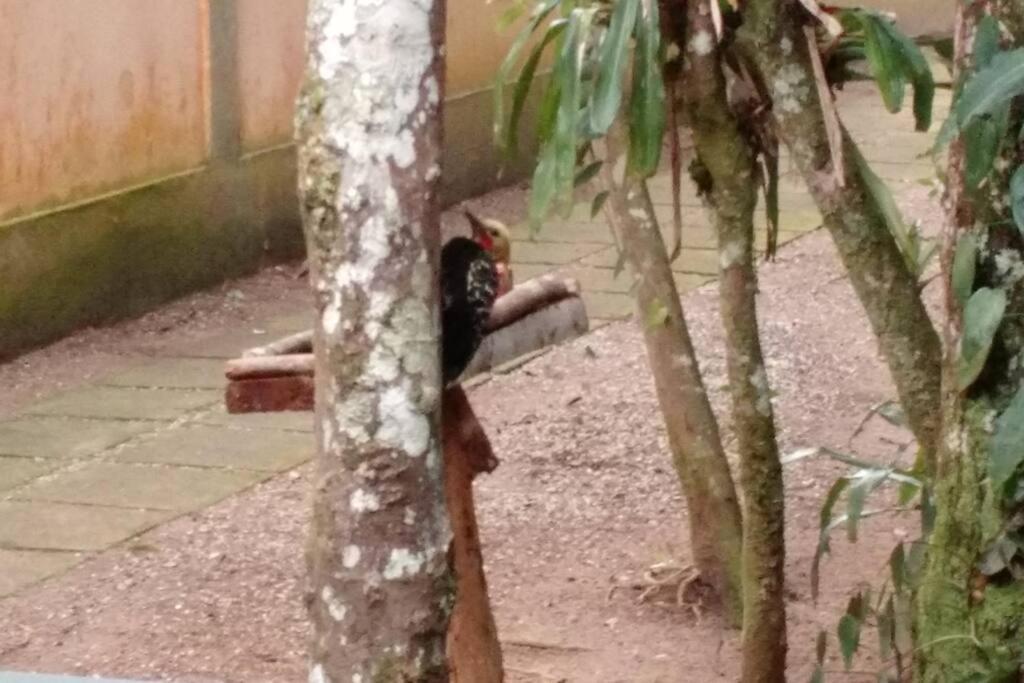 Casinha Casa de férias *